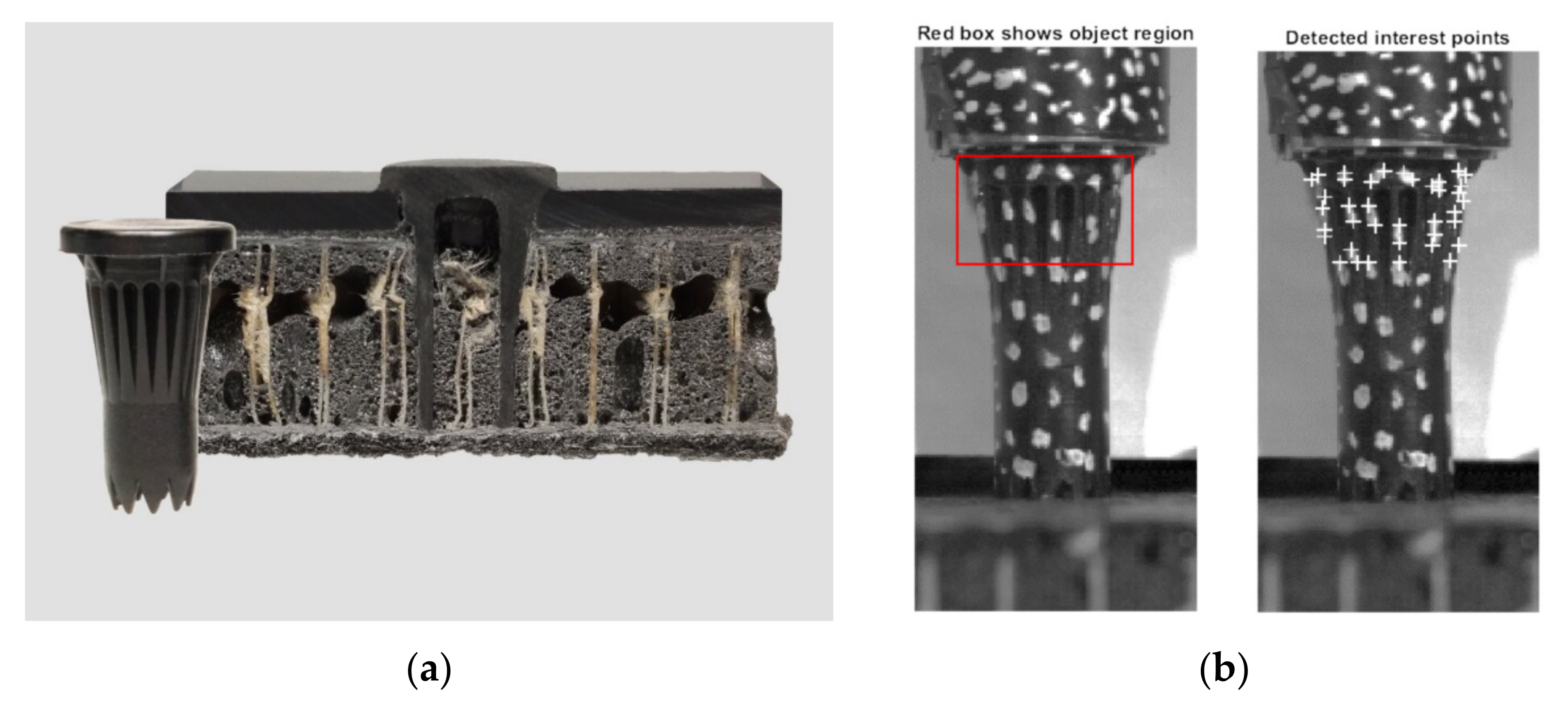 Materials 14 06005 g002