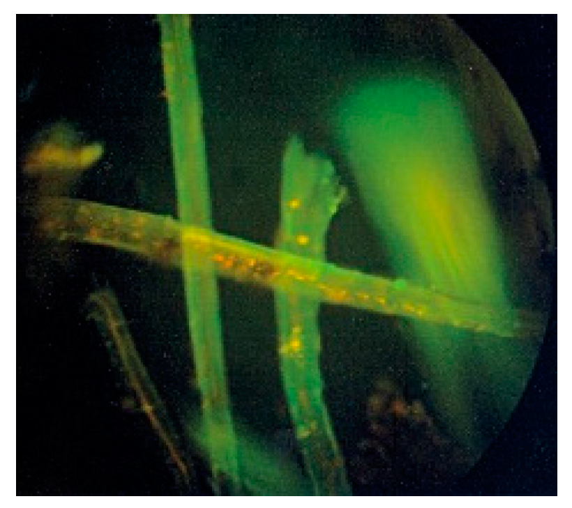 Materials 14 06031 g003