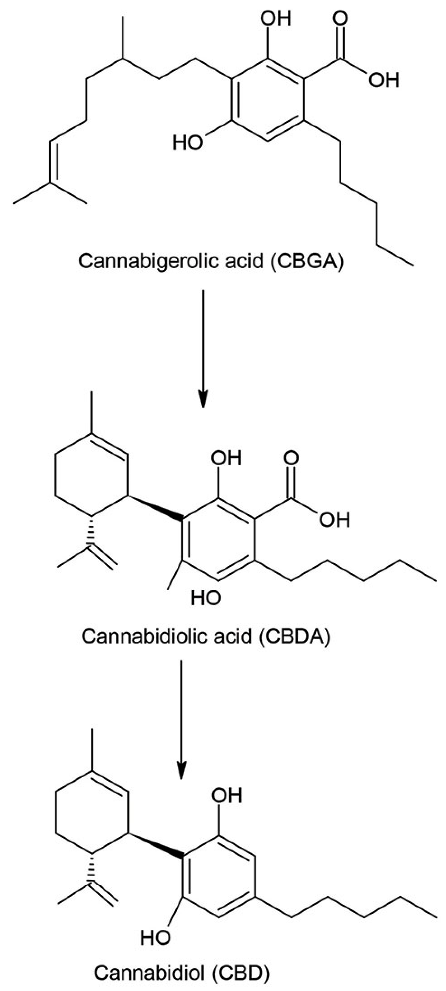 Materials 14 06031 g004