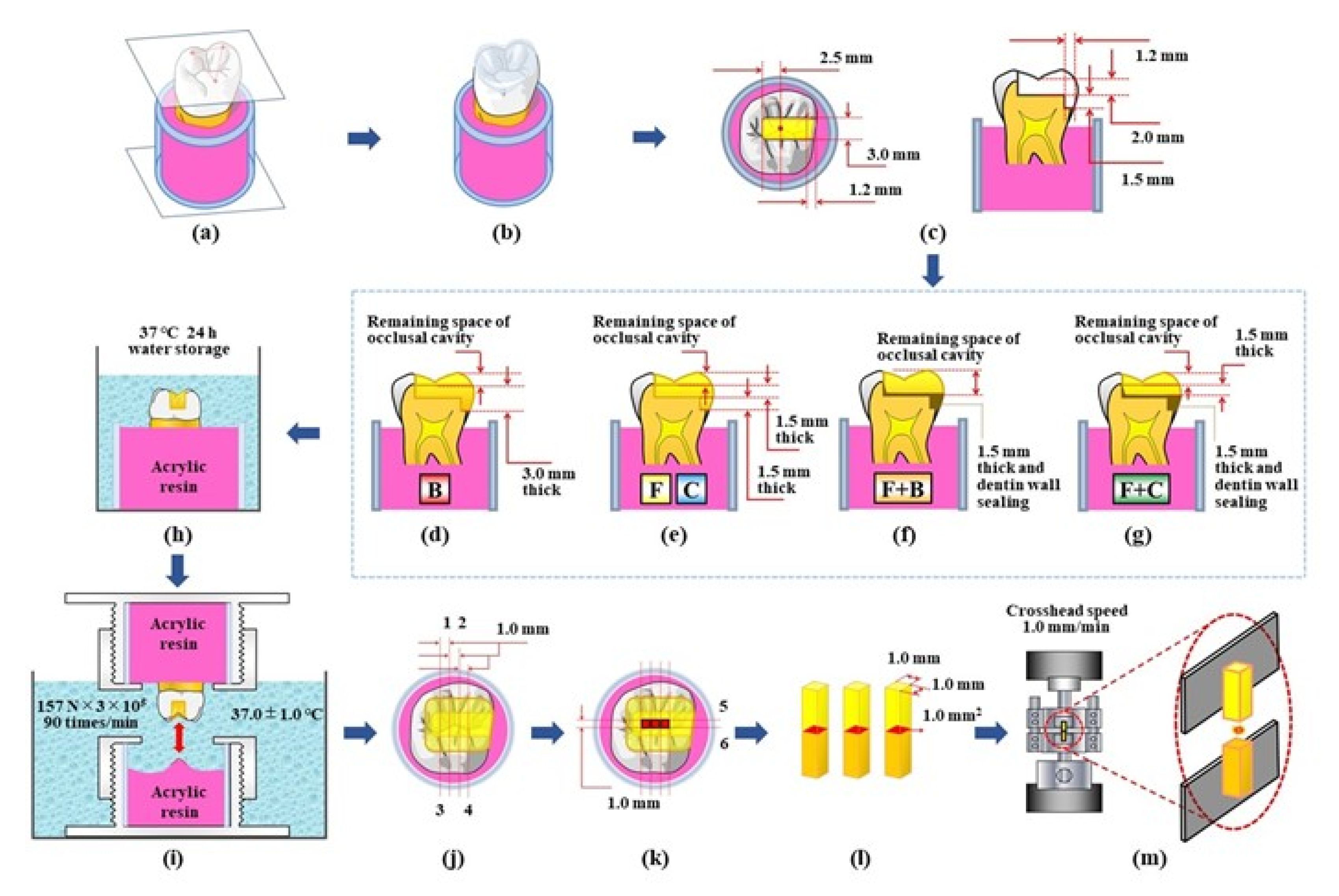 Materials 14 06037 g001