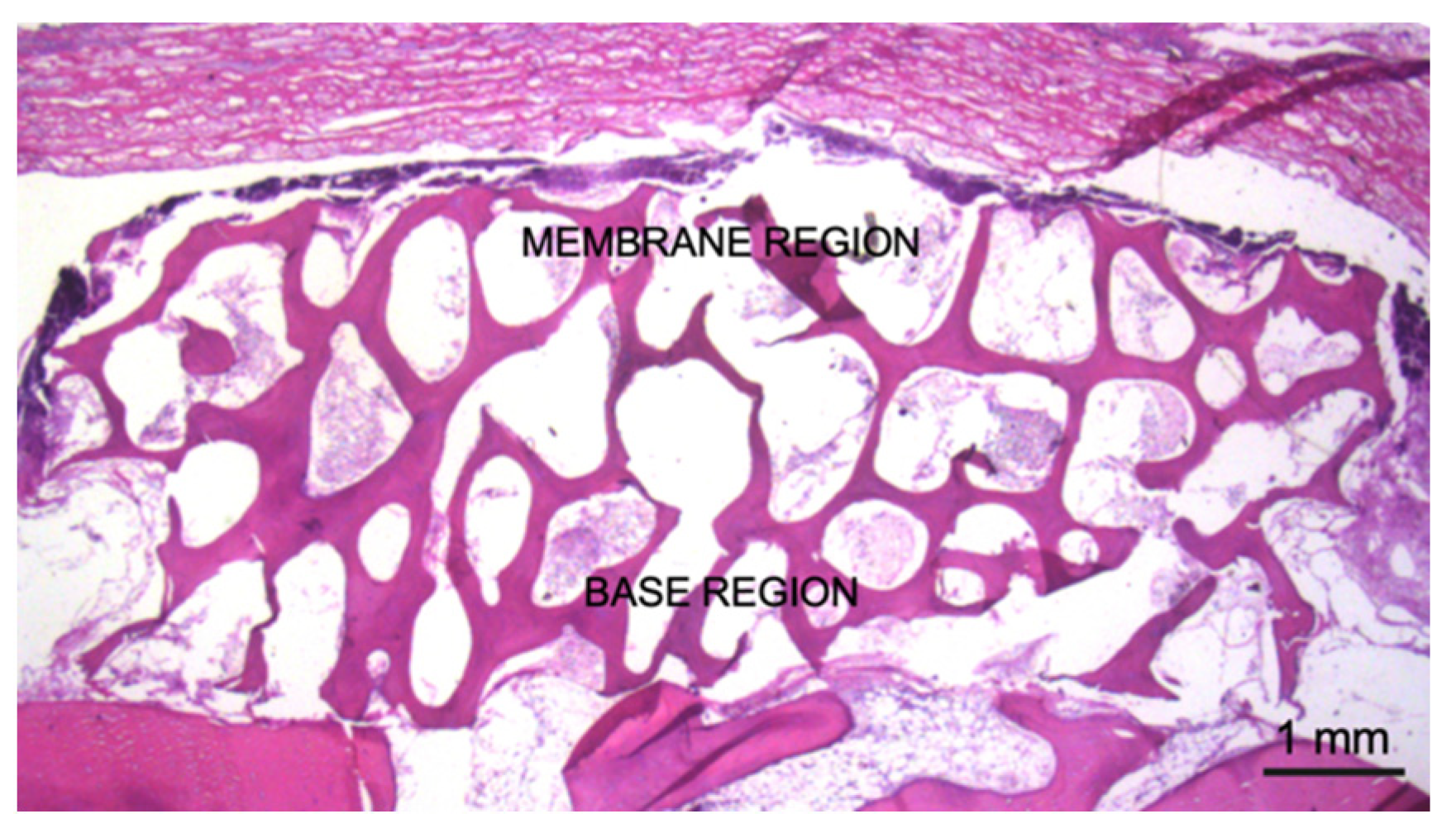 Materials 14 06049 g003