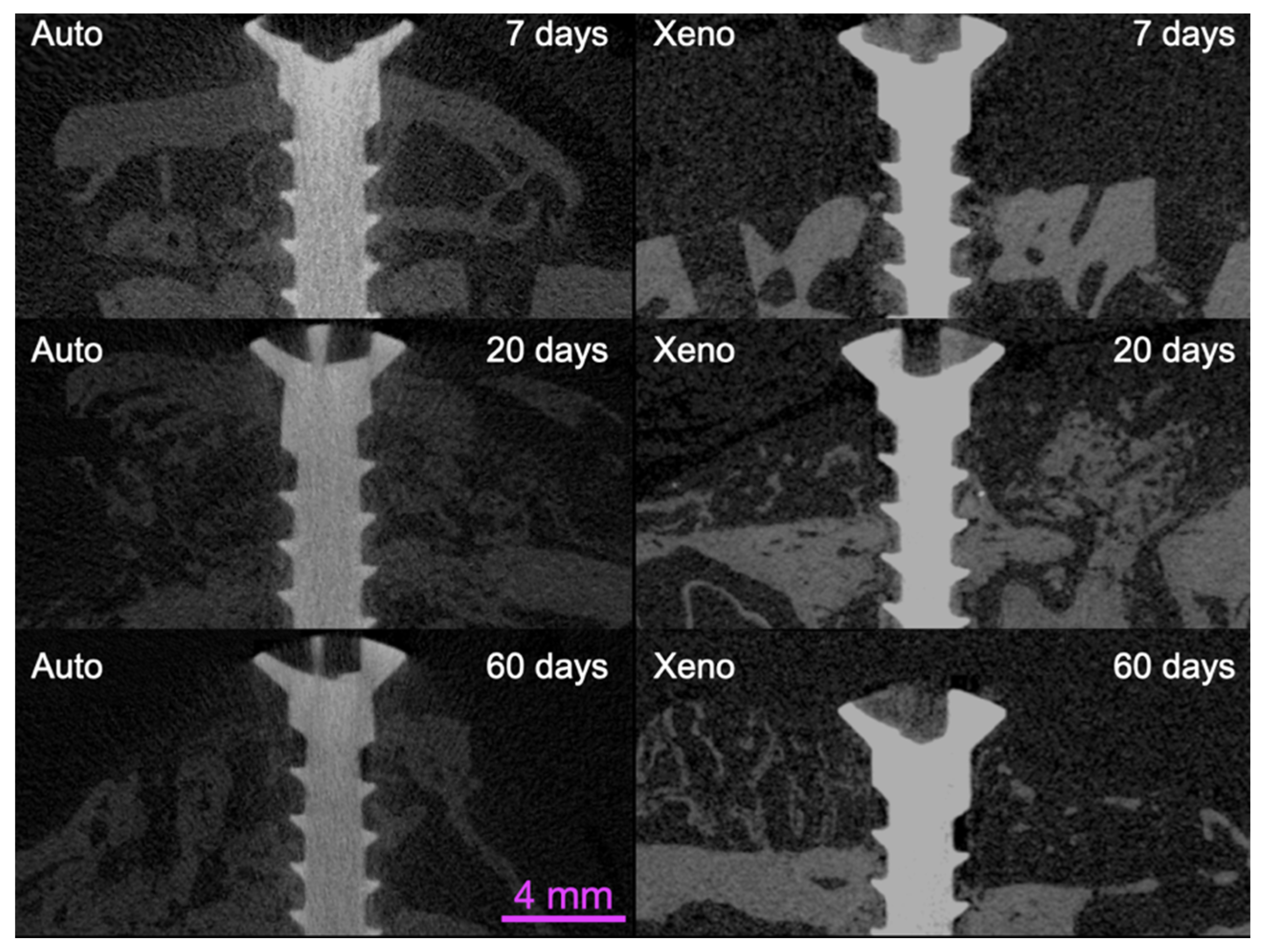 Materials 14 06049 g004