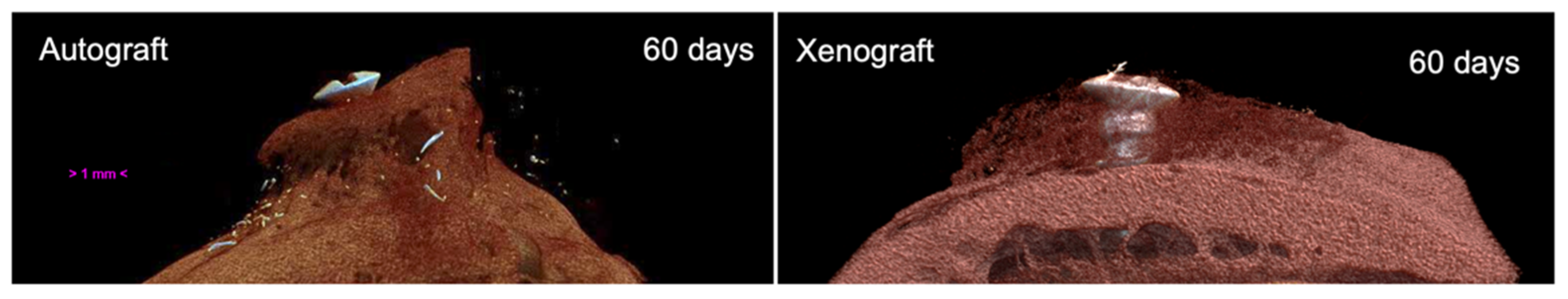 Materials 14 06049 g005