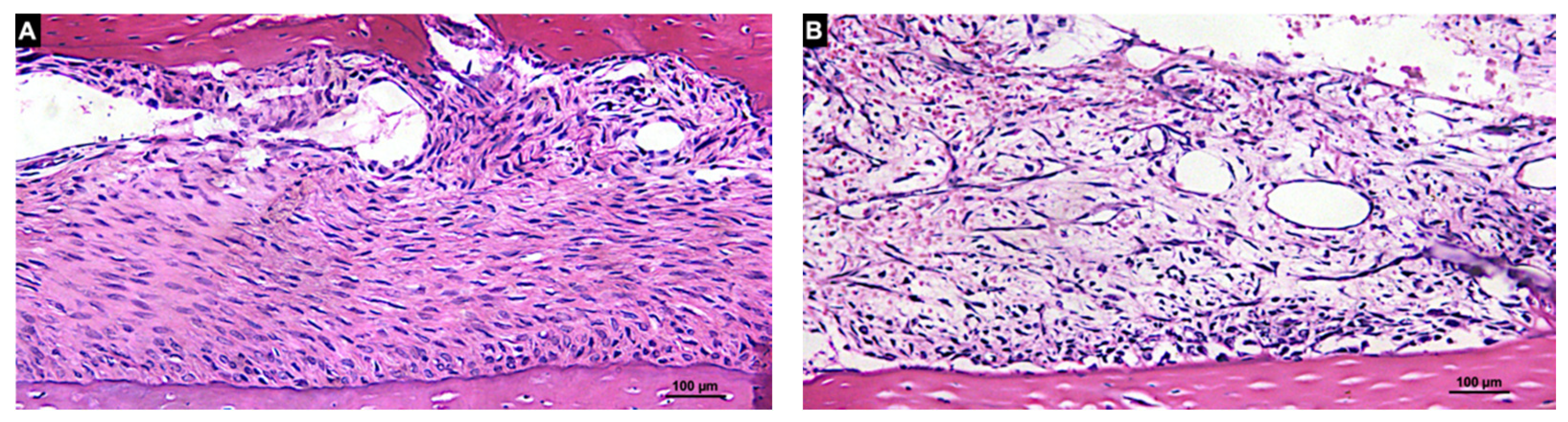 Materials 14 06049 g007