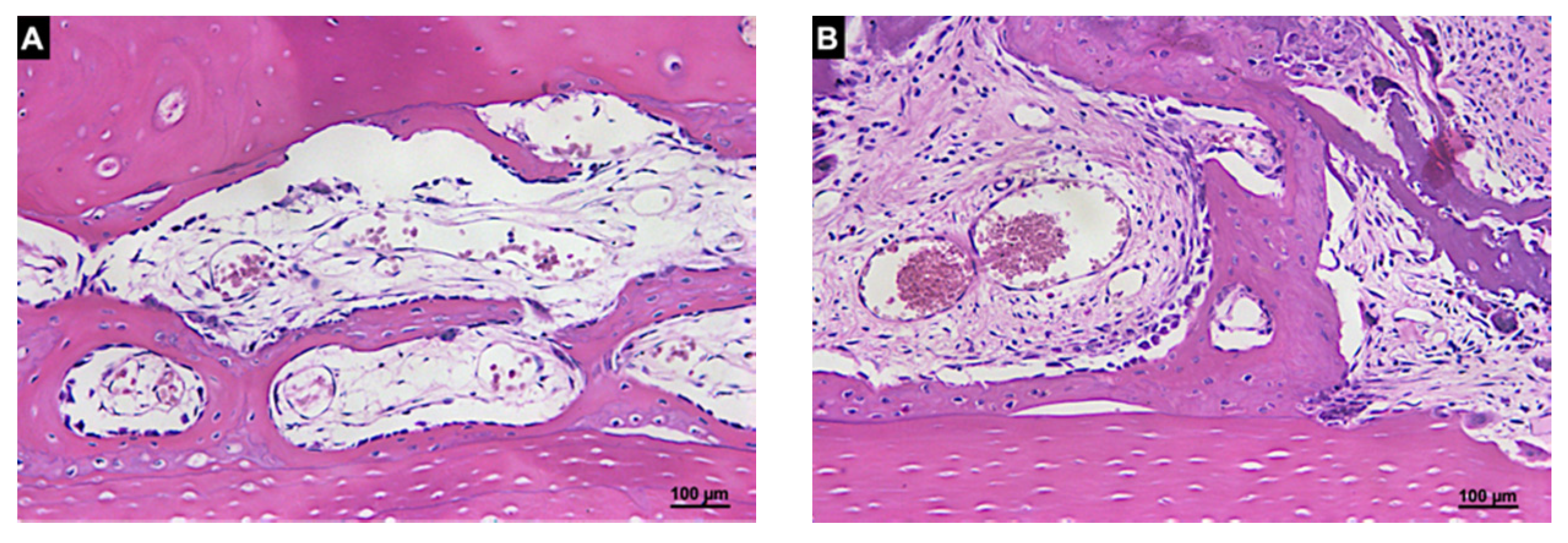Materials 14 06049 g008