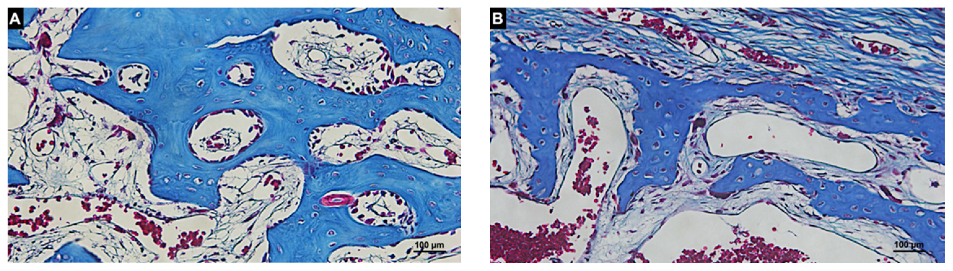 Materials 14 06049 g009