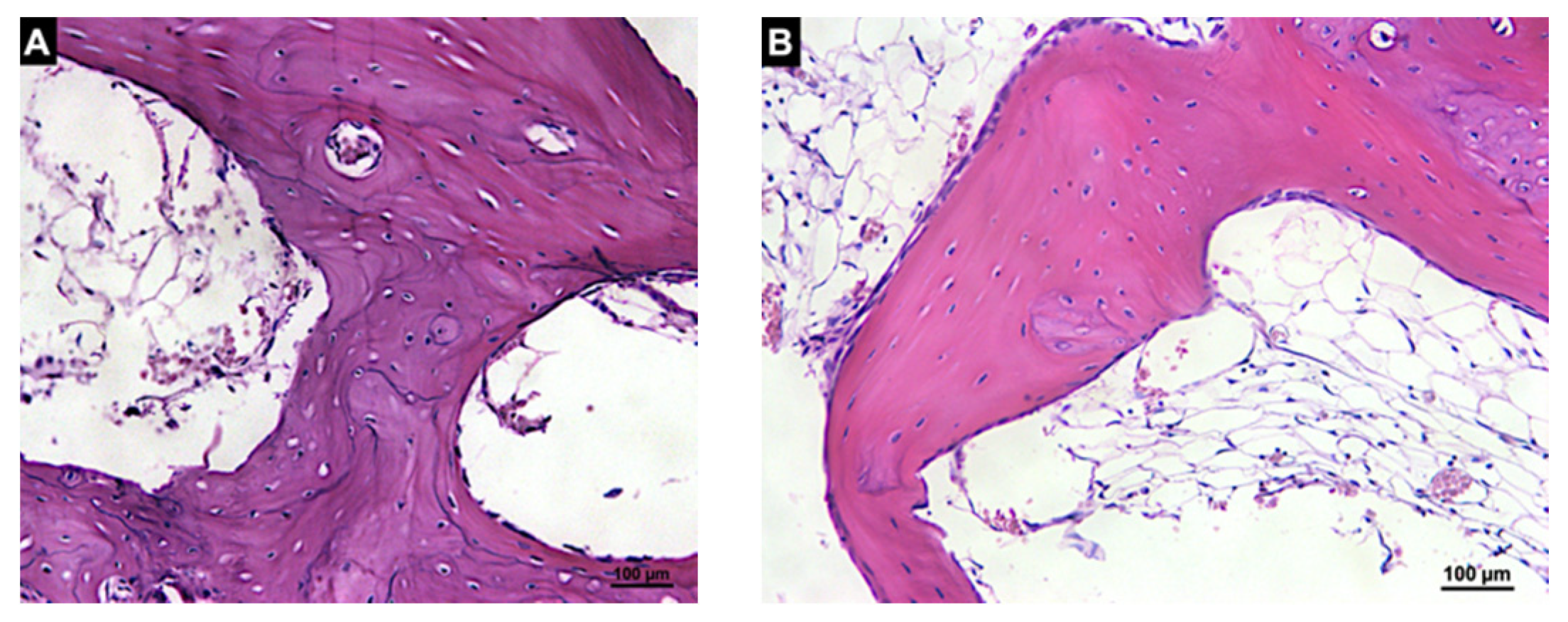 Materials 14 06049 g010