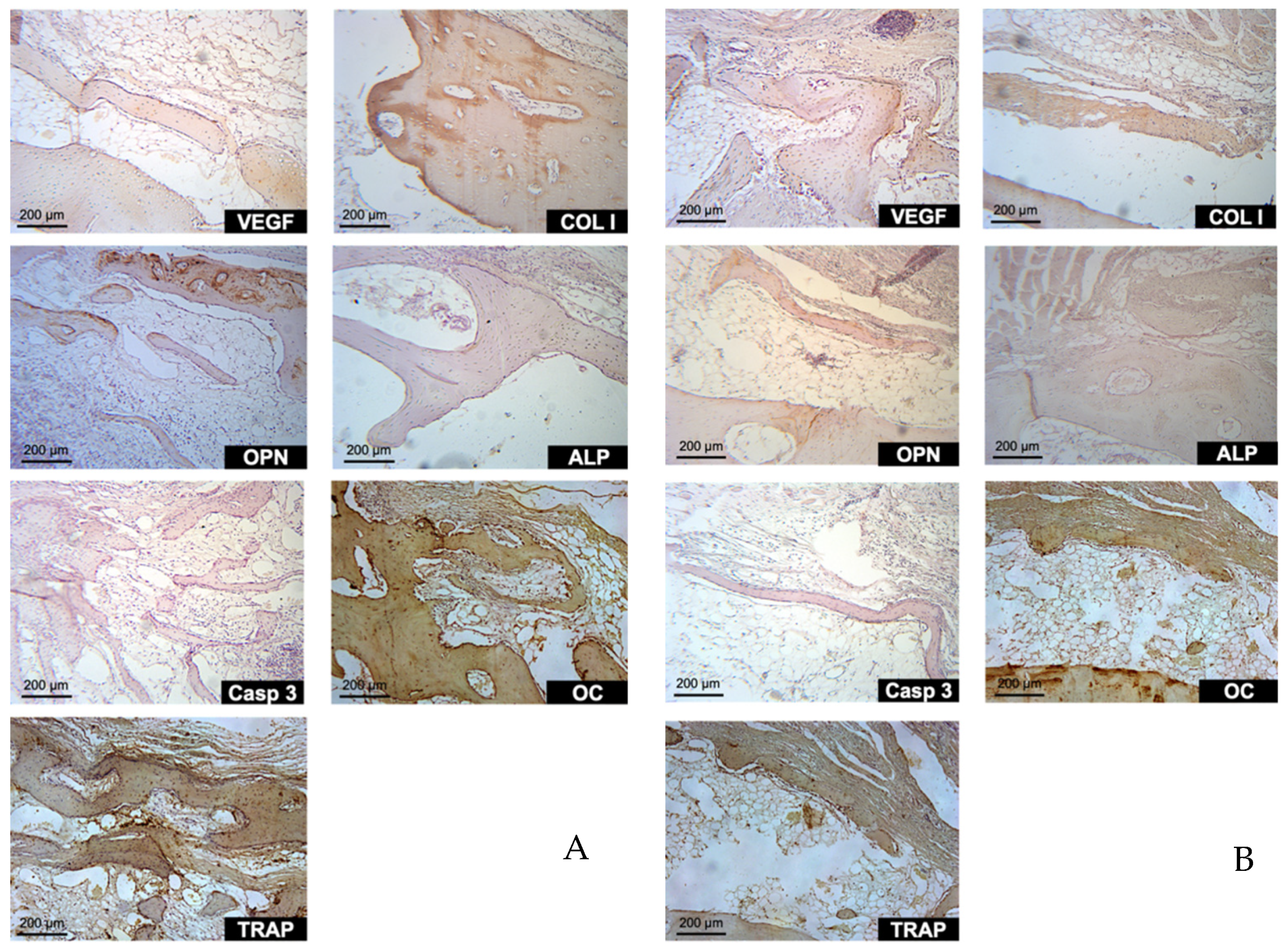 Materials 14 06049 g012