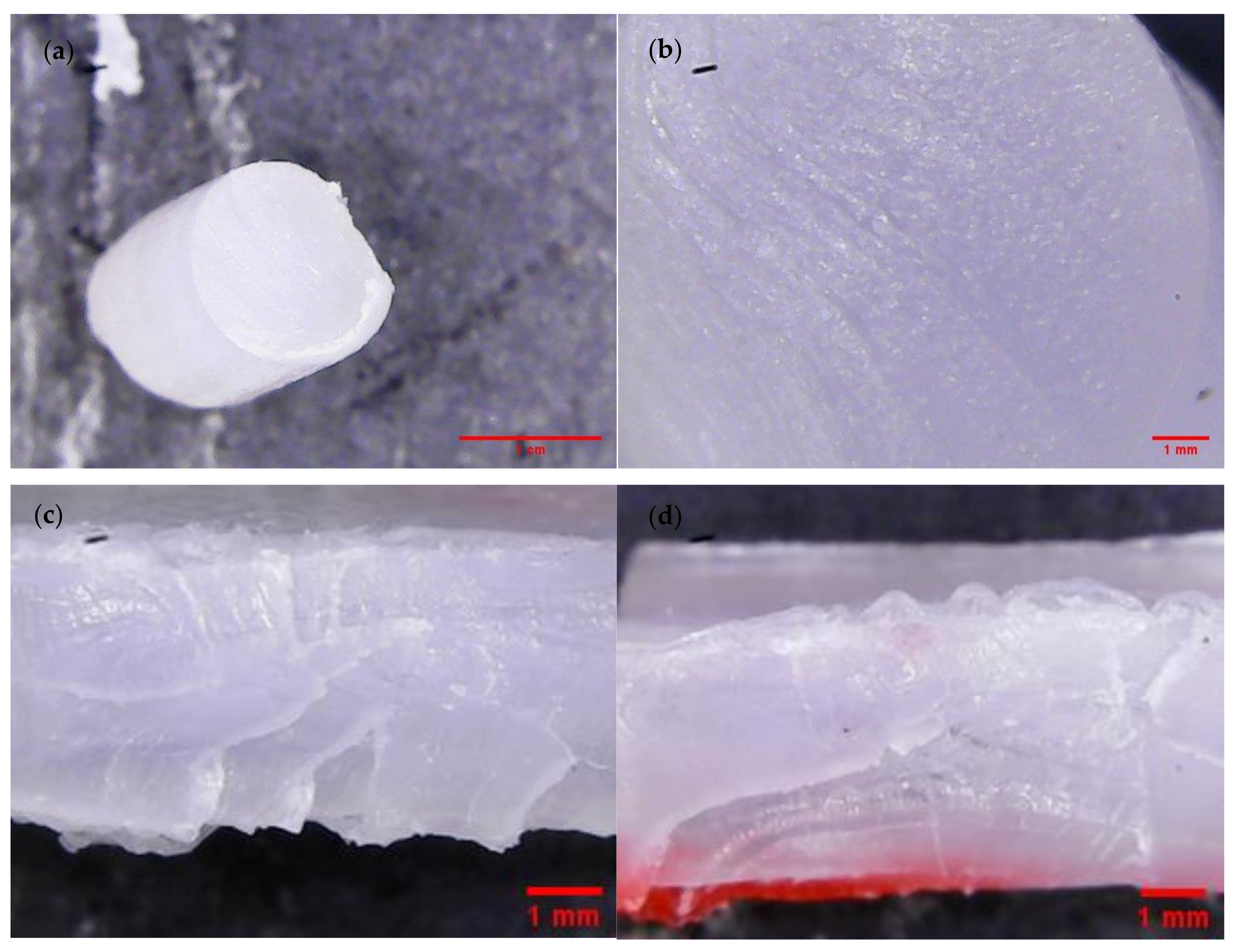 Materials 14 06054 g004