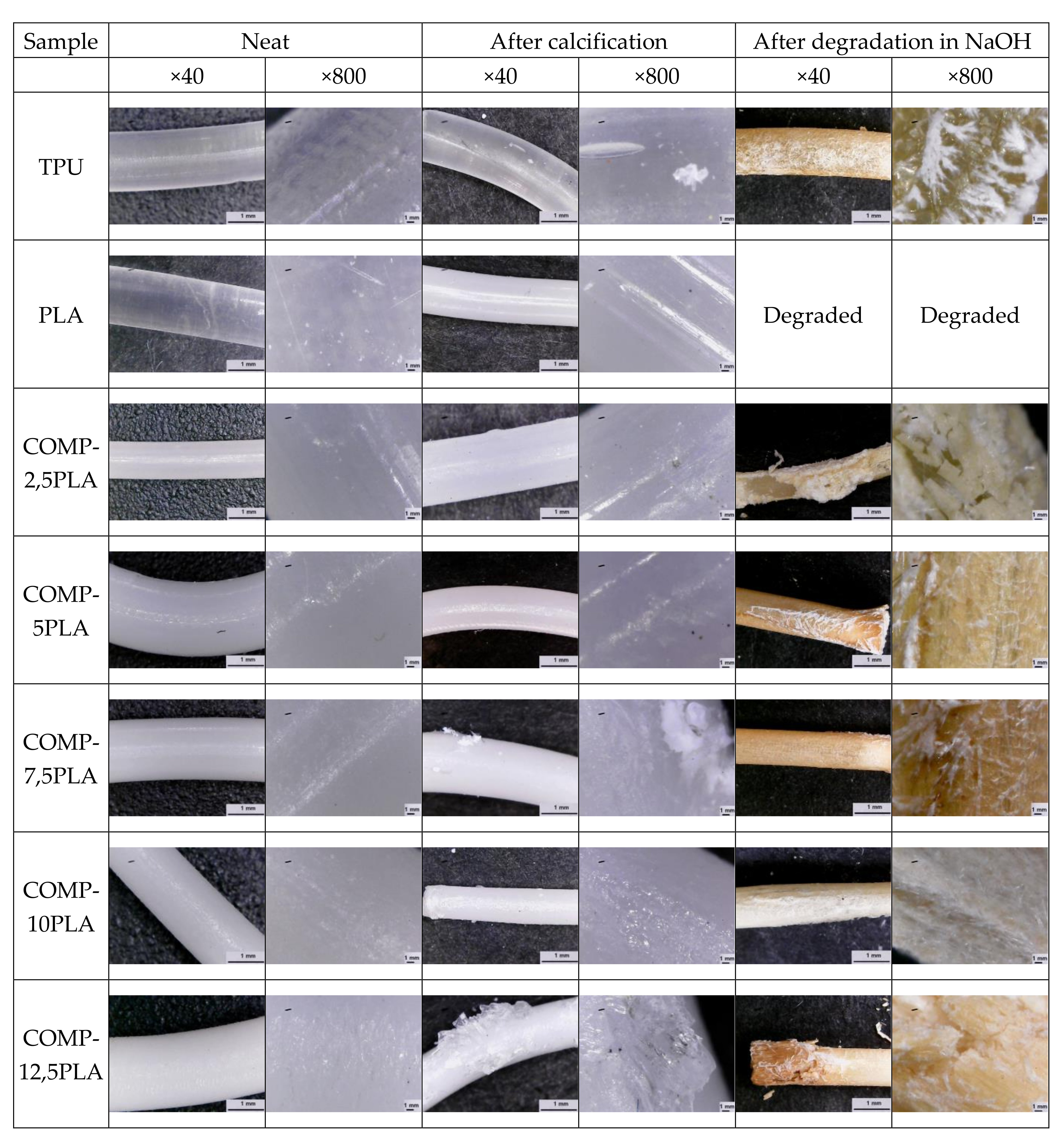 Materials 14 06054 g009