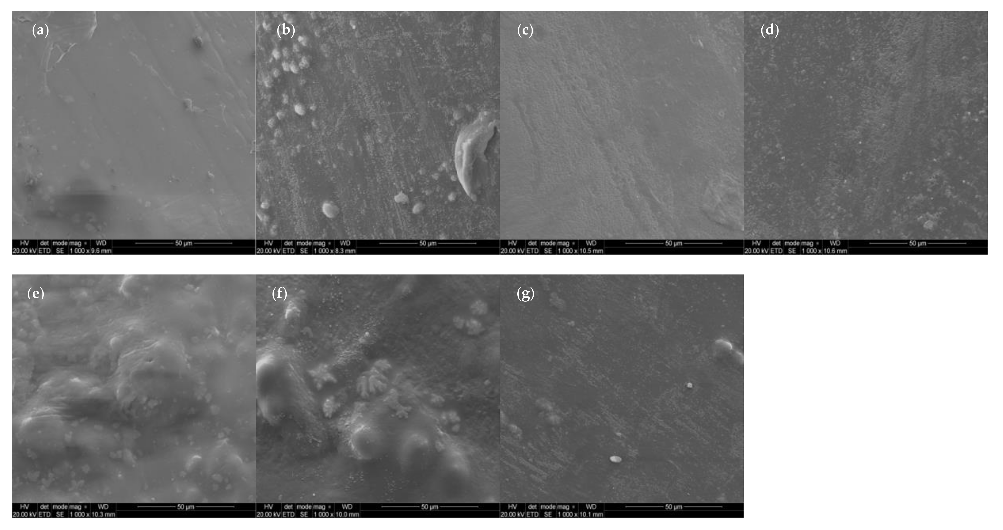 Materials 14 06054 g010