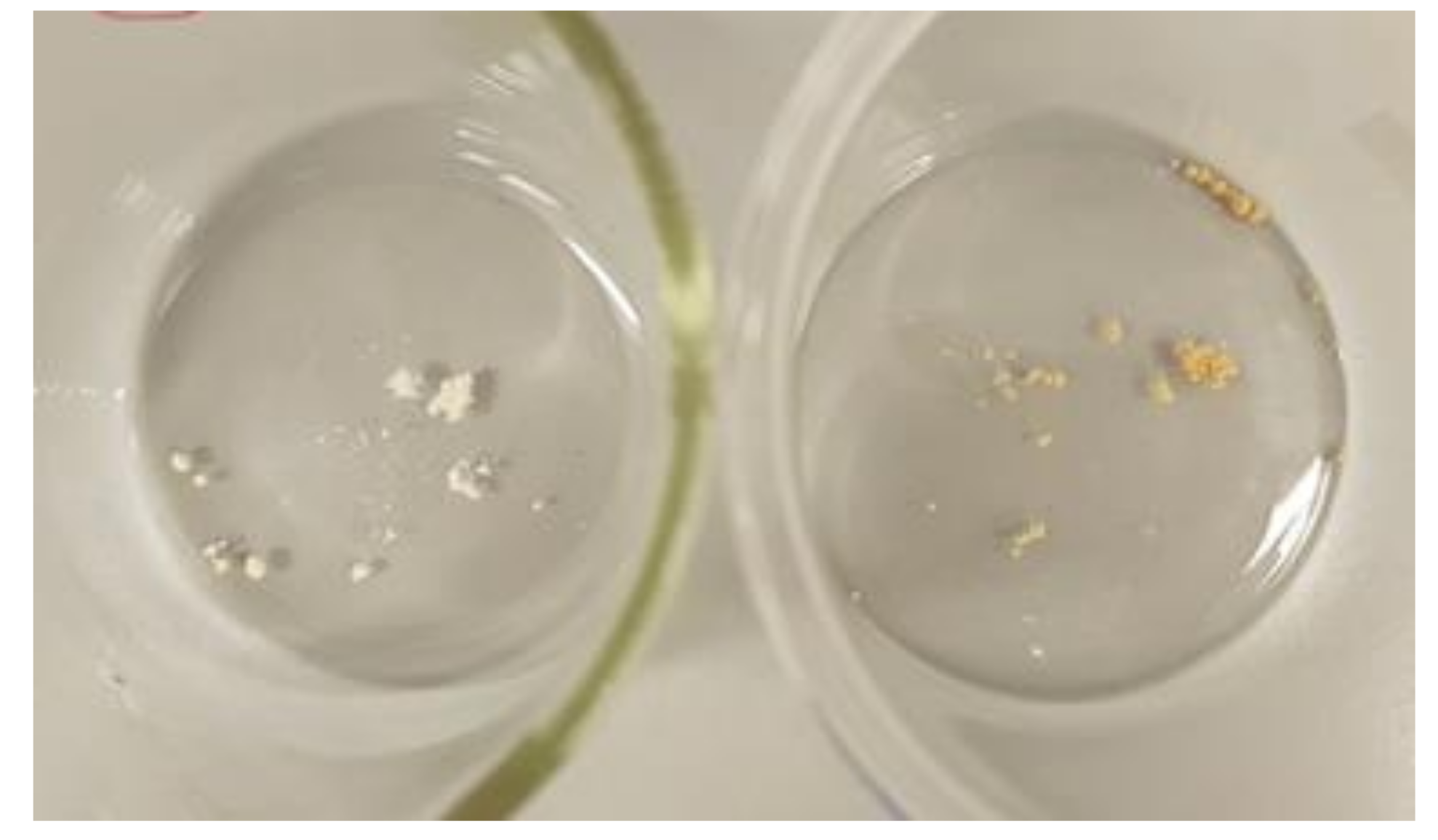 Materials 14 06054 g012