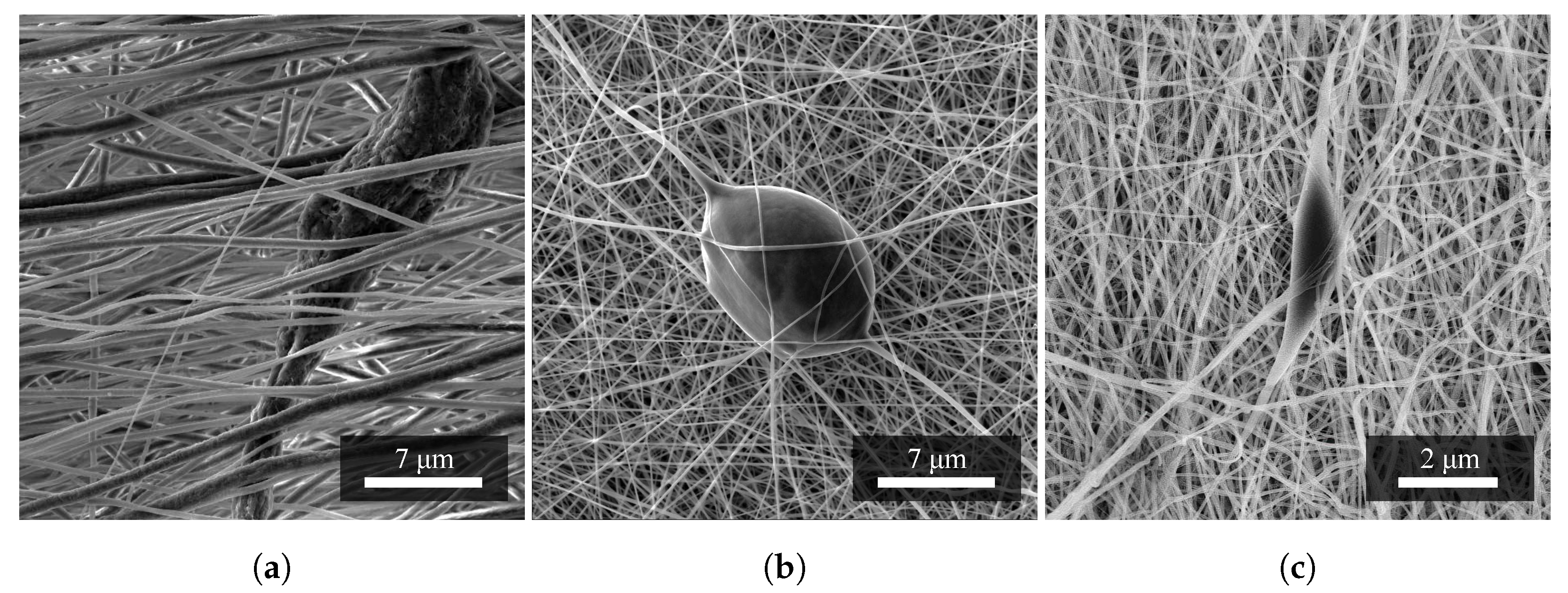 Materials 14 06096 g003