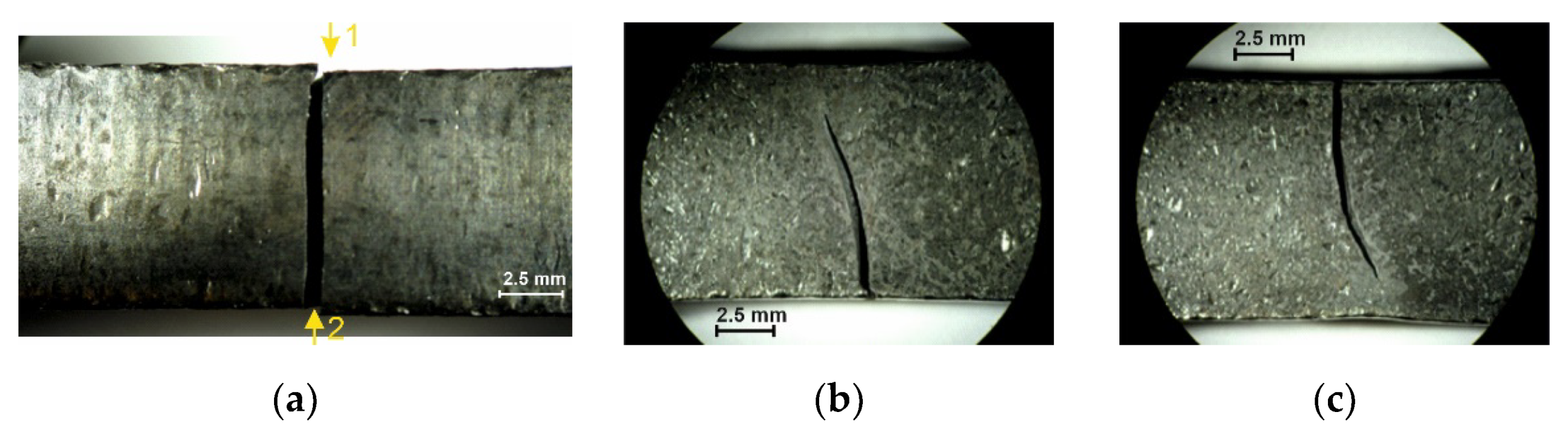 Materials 14 06097 g006