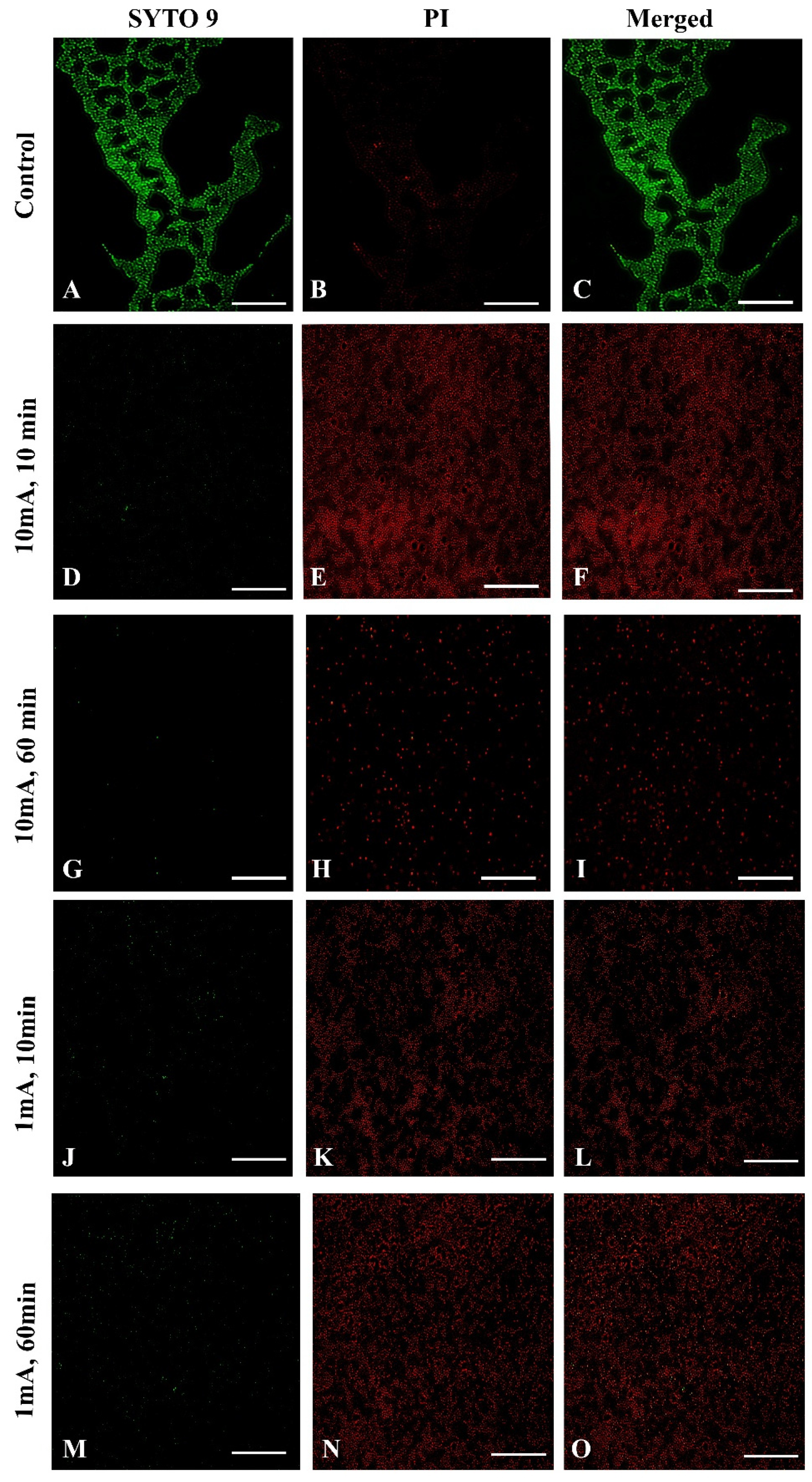 Materials 14 06117 g005