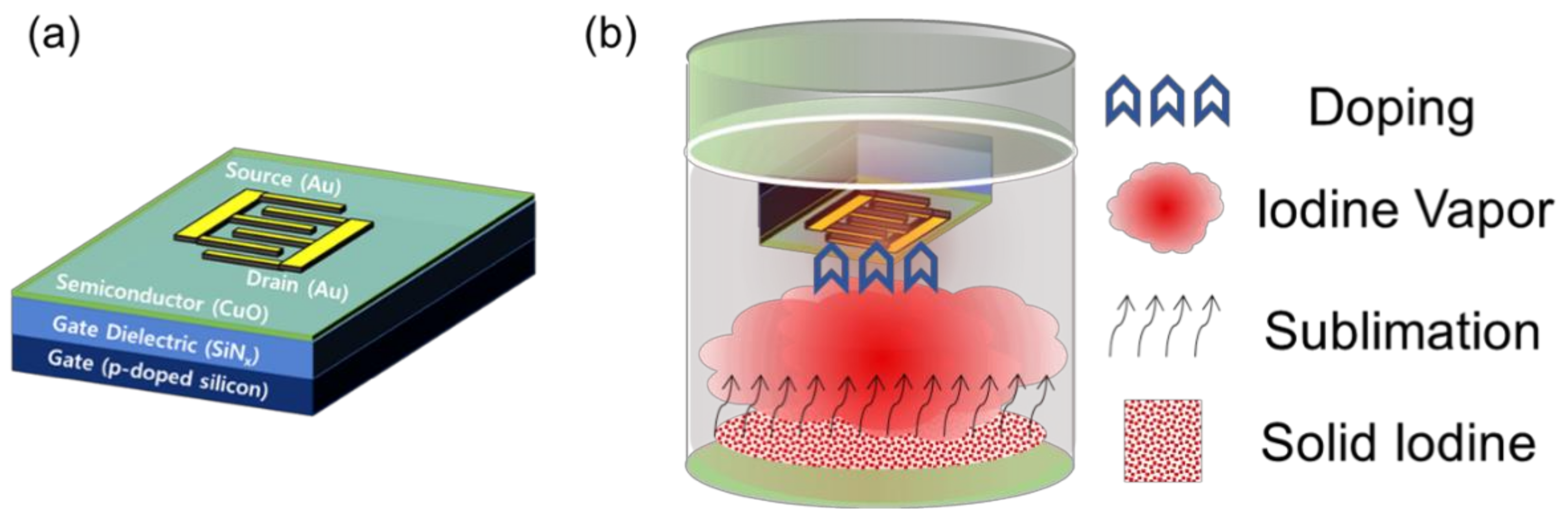 Materials 14 06118 g001