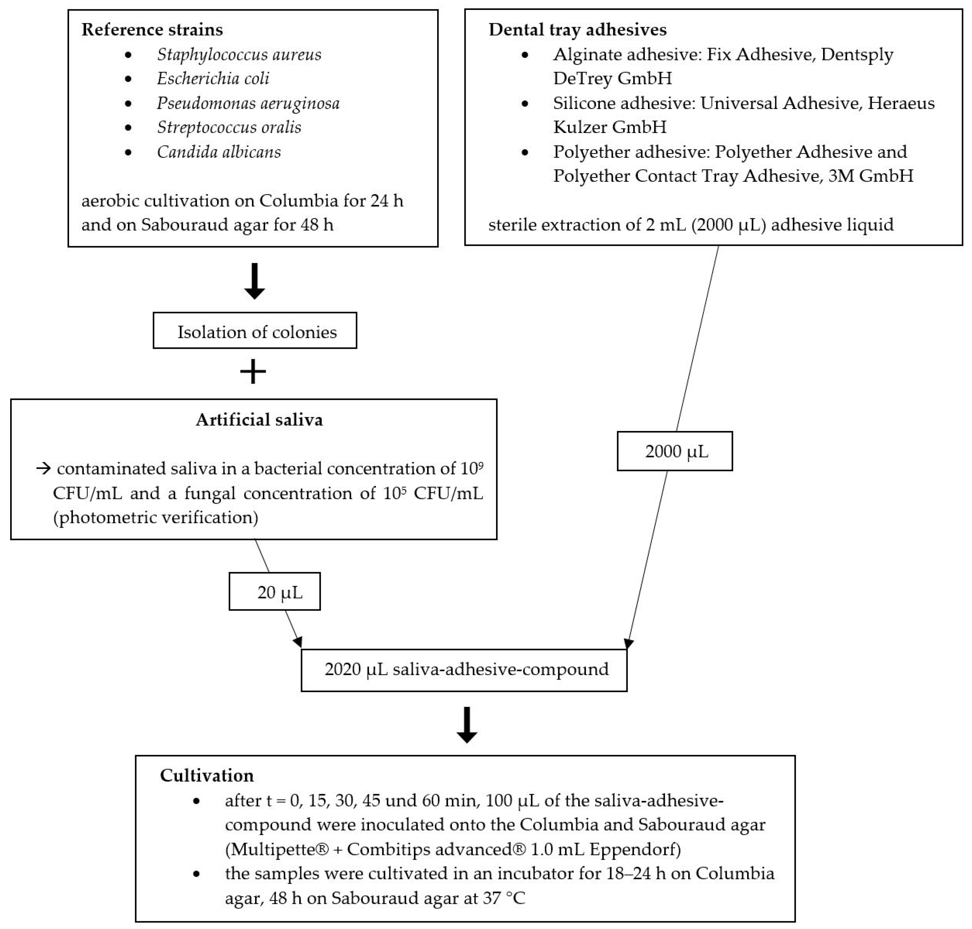 Materials 14 06138 g002
