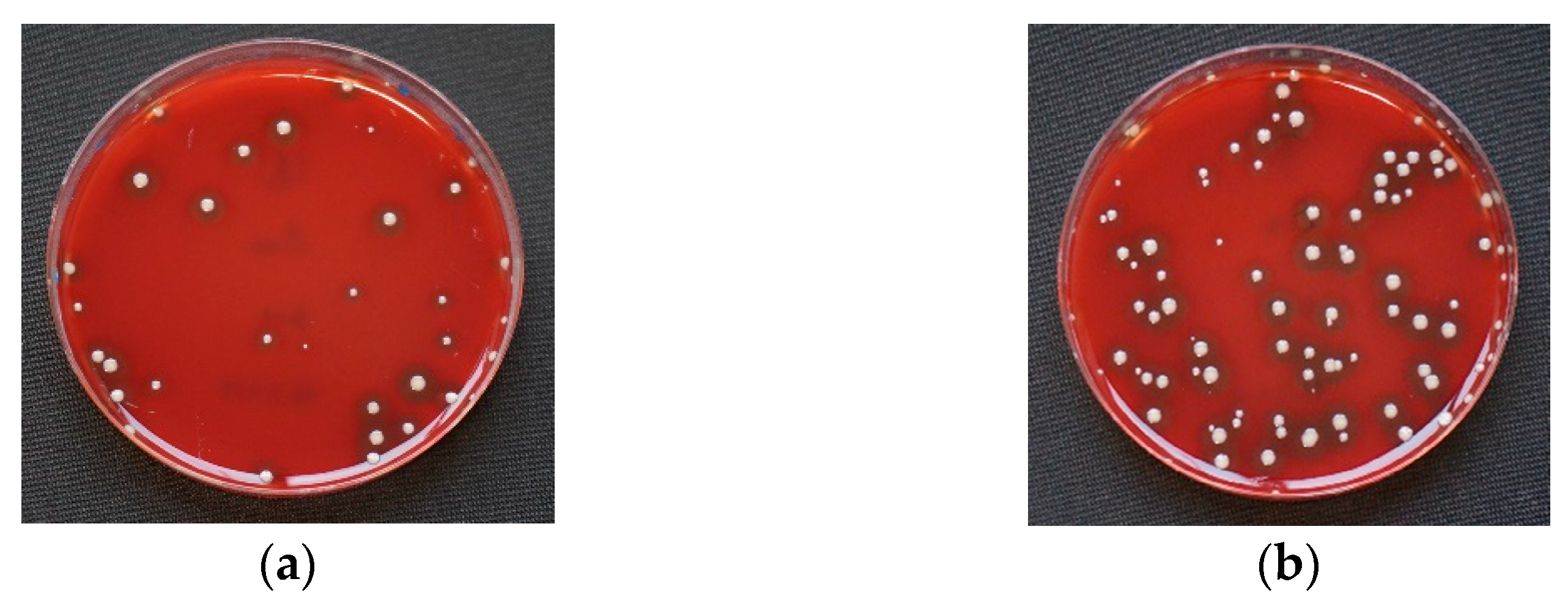 Materials 14 06138 g003a