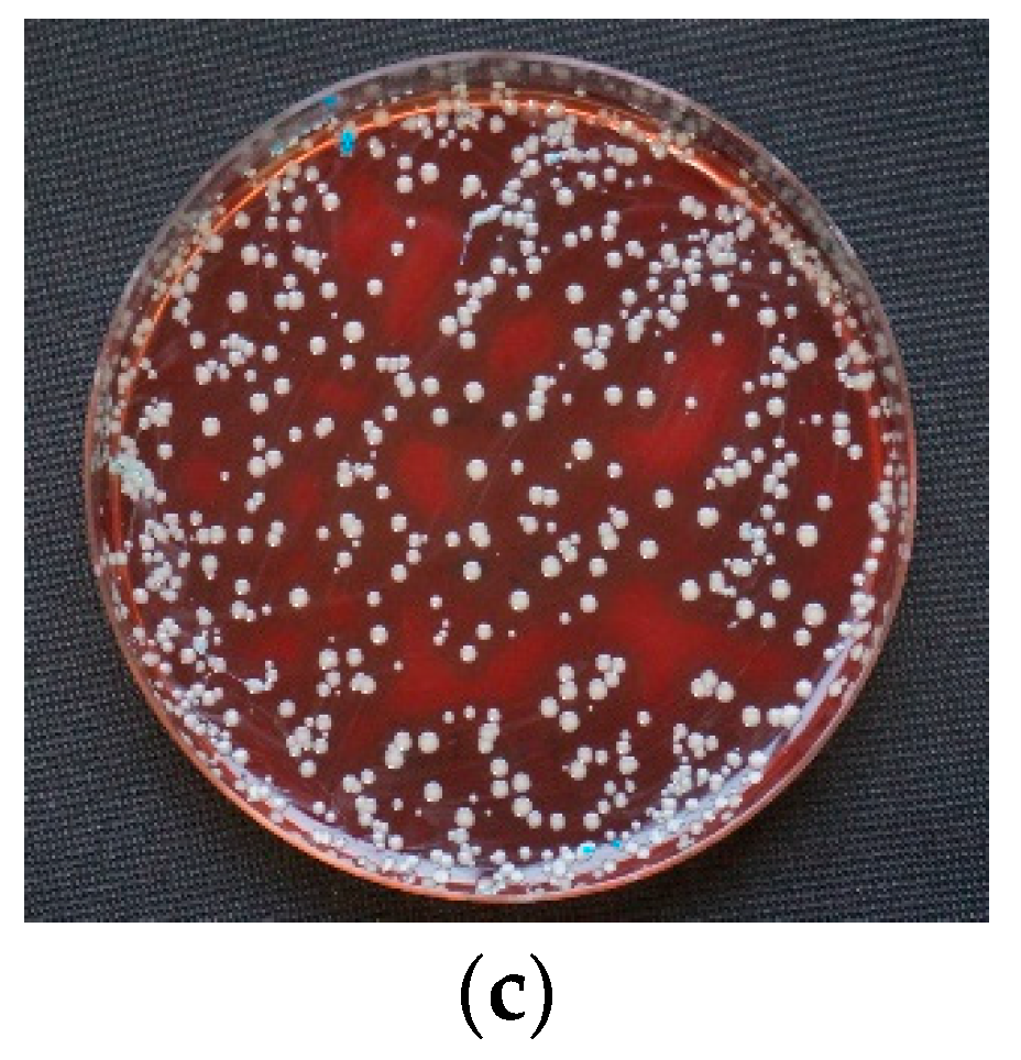 Materials 14 06138 g003b