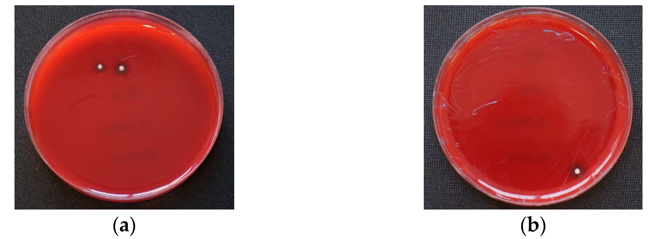 Materials 14 06138 g004