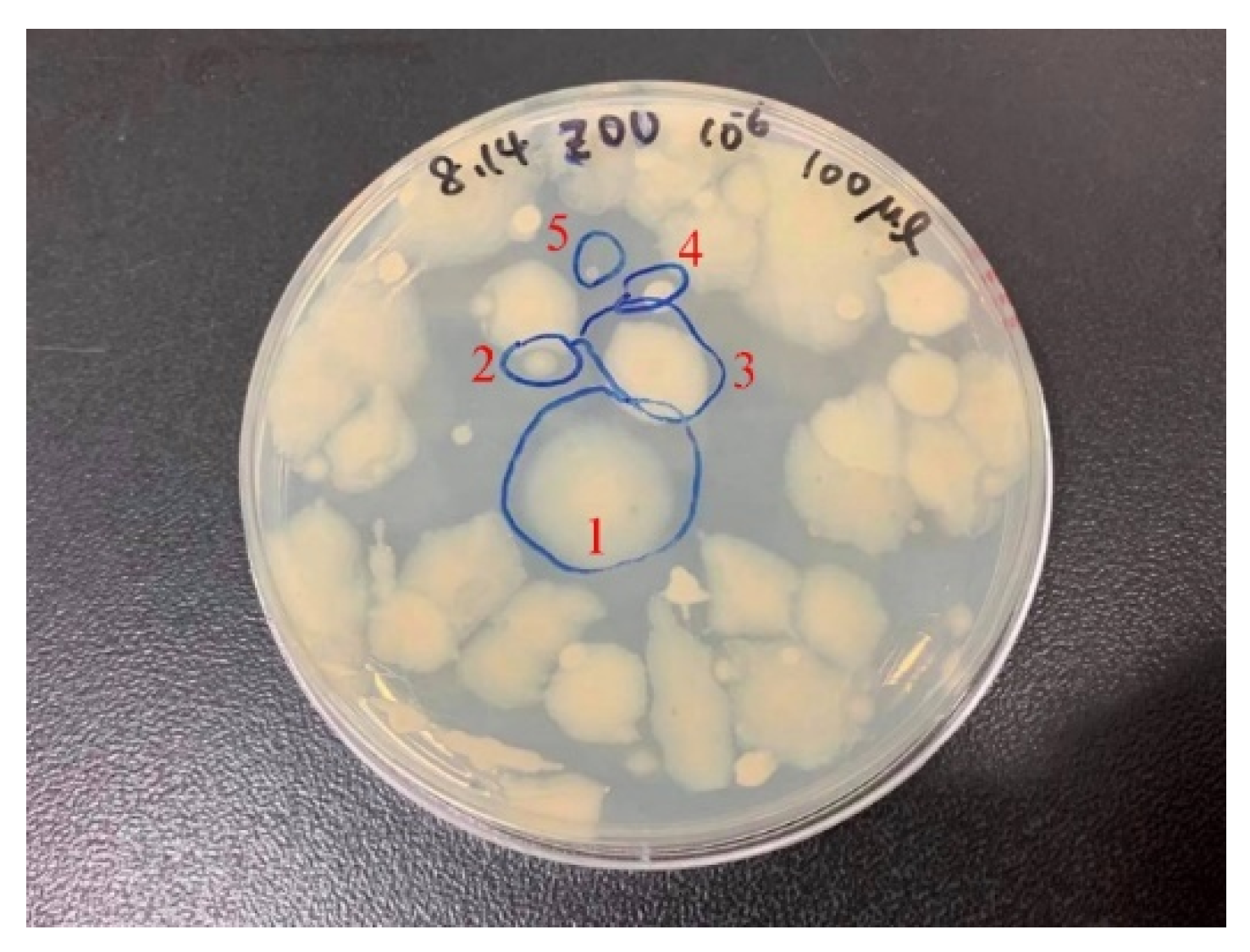 Materials 14 06156 g001