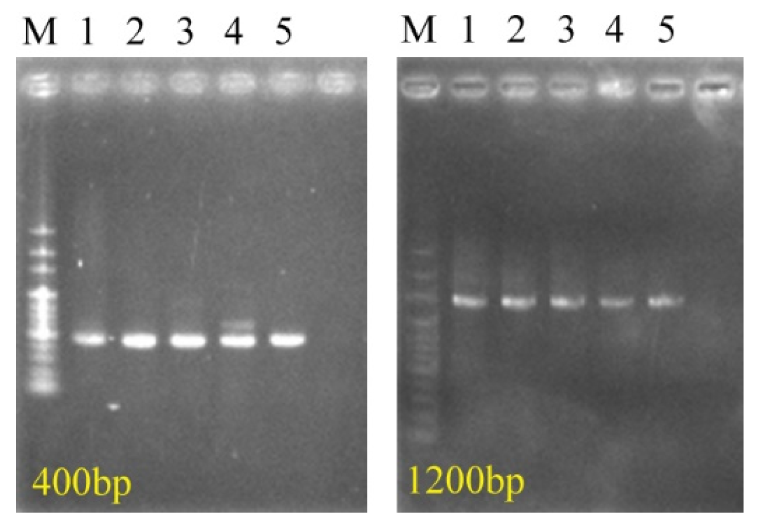 Materials 14 06156 g002