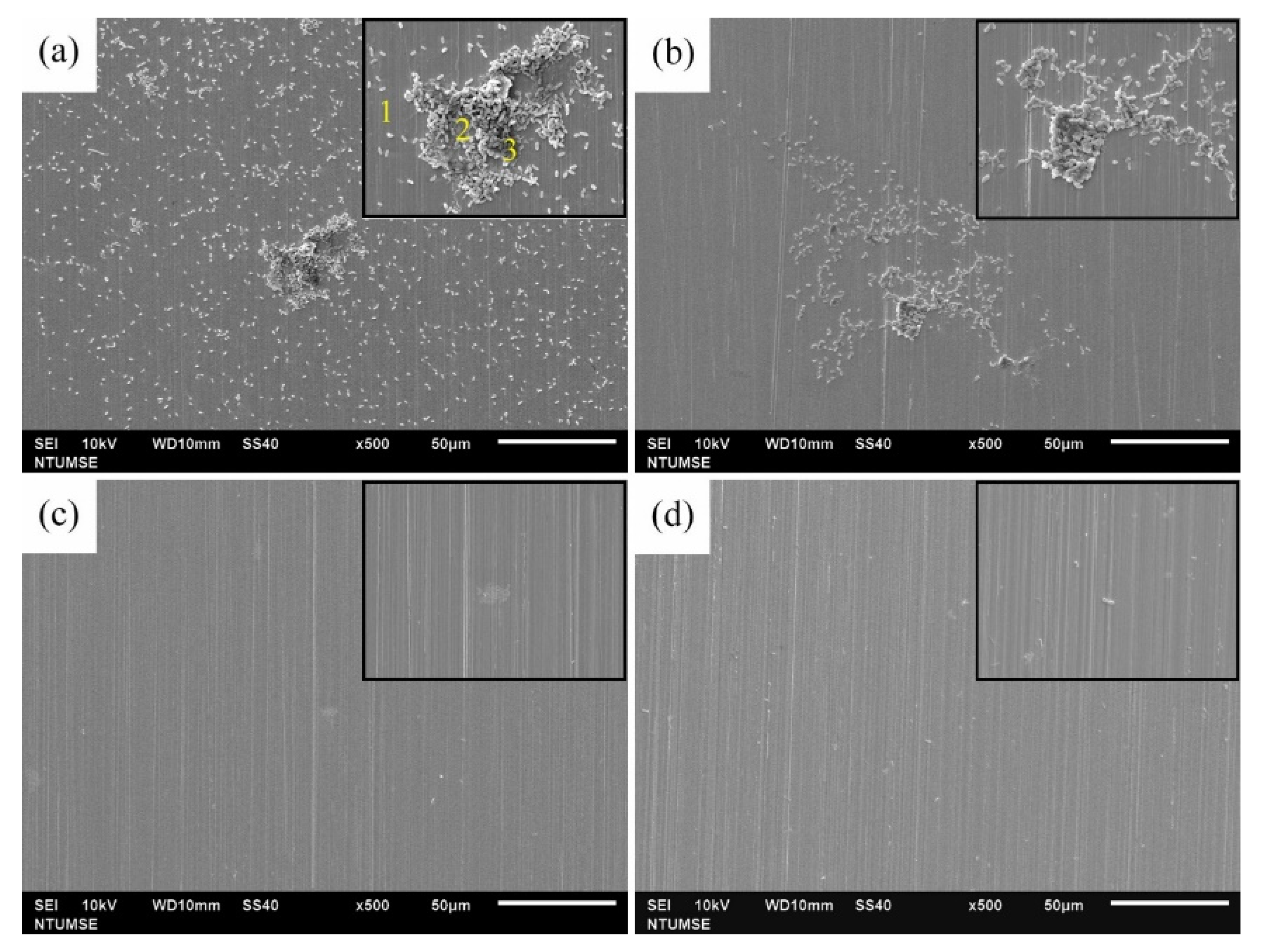 Materials 14 06156 g007