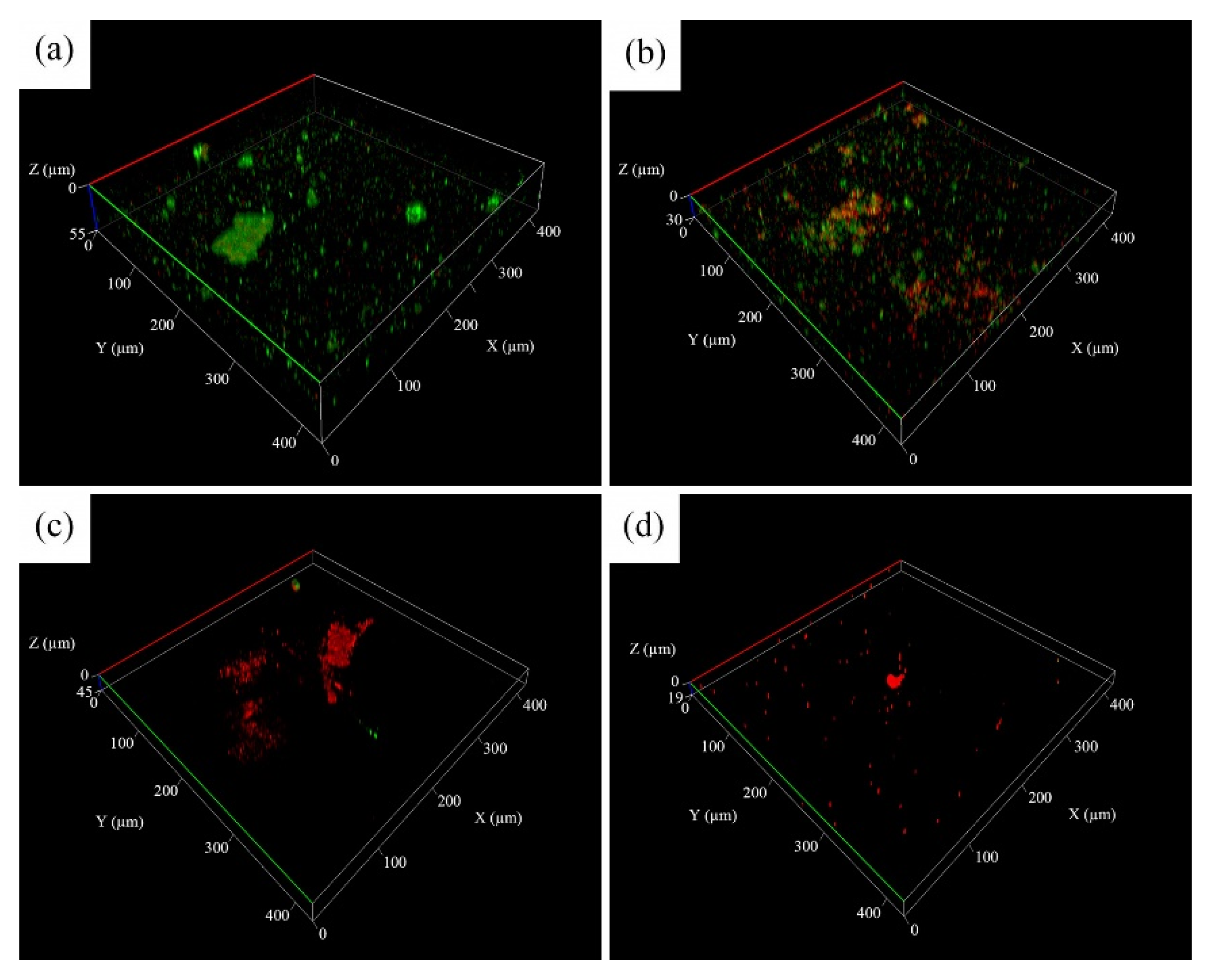 Materials 14 06156 g011
