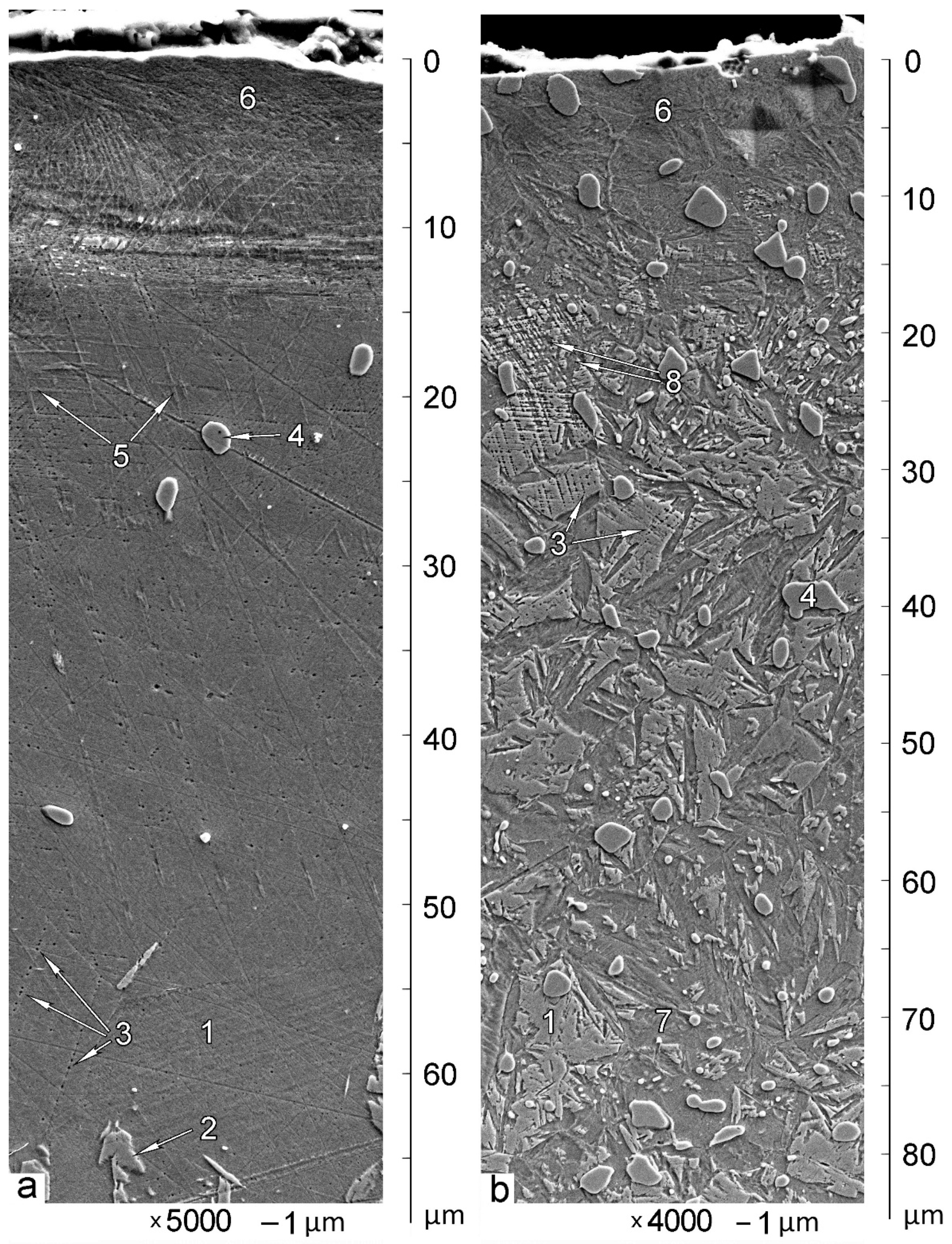 Materials 14 06159 g002