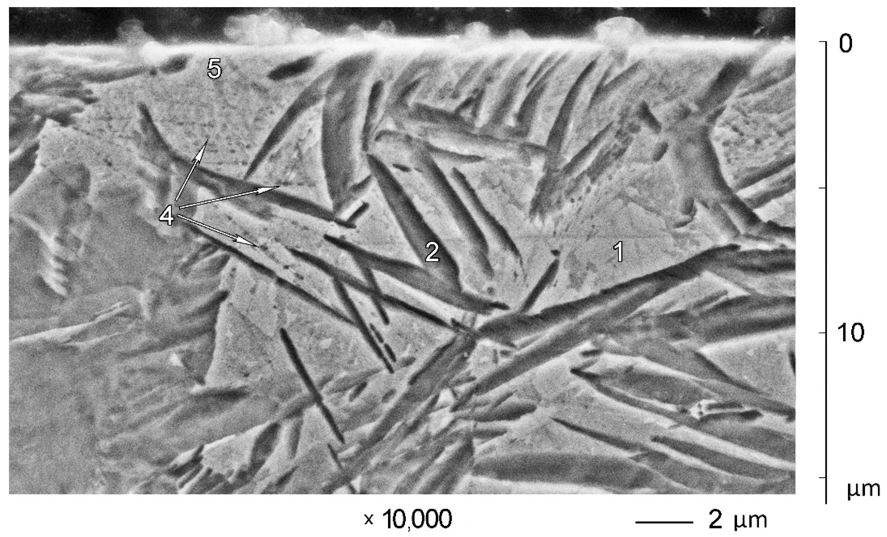 Materials 14 06159 g005