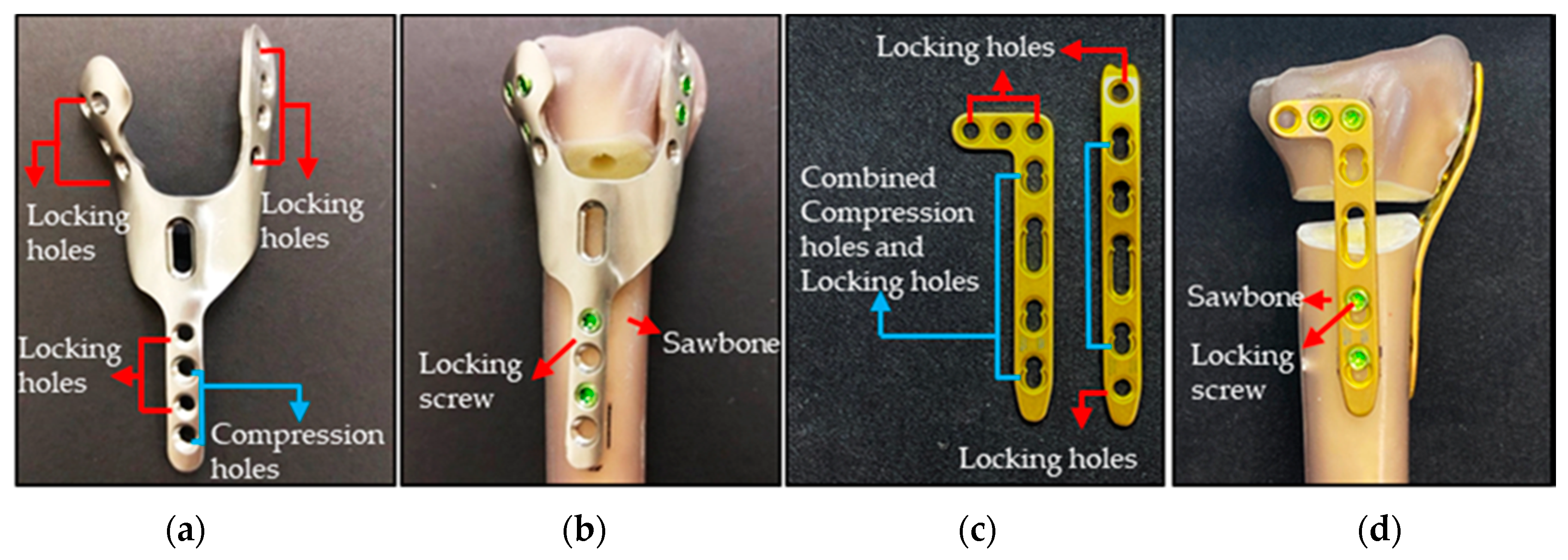 Materials 14 06189 g001