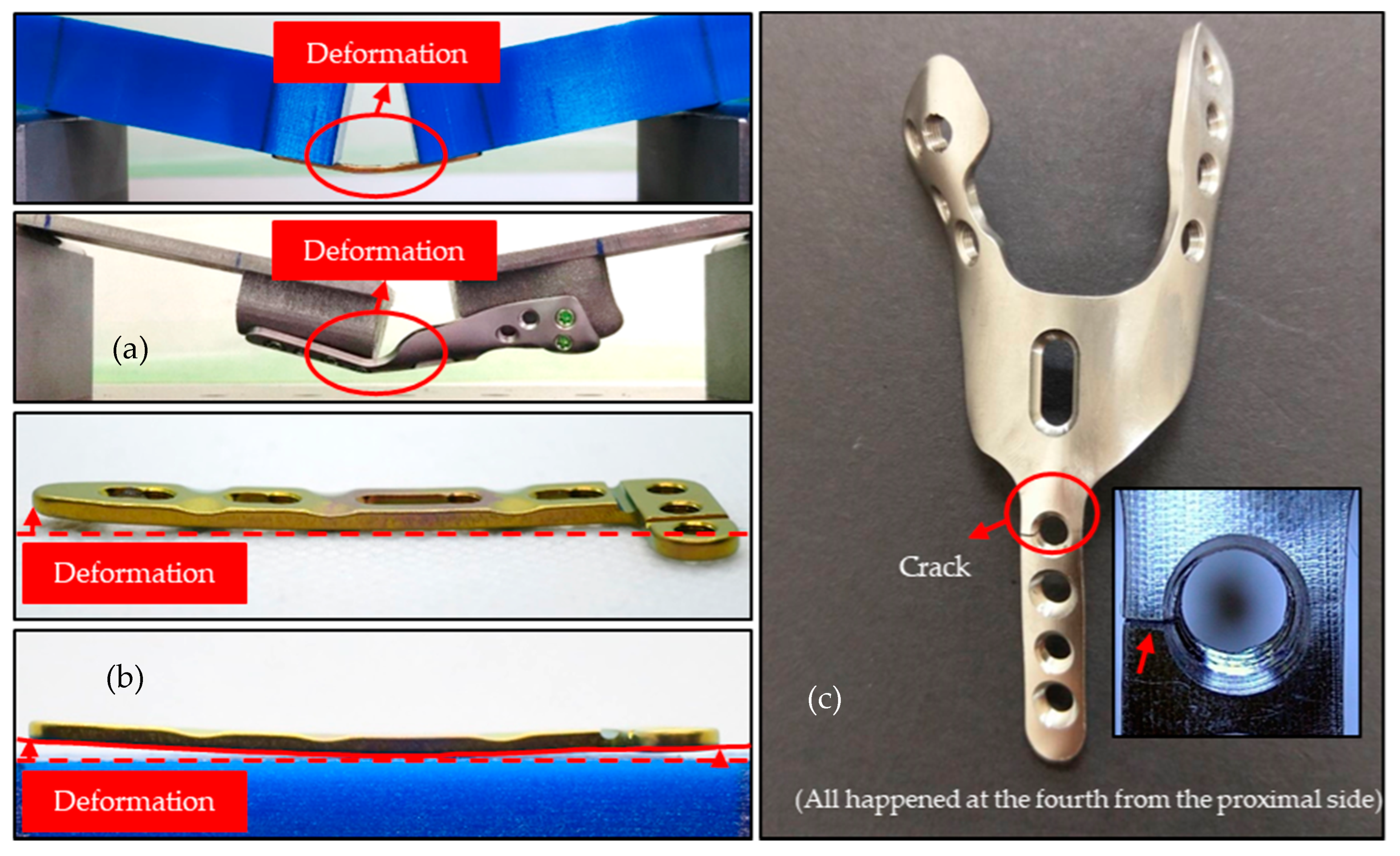 Materials 14 06189 g006