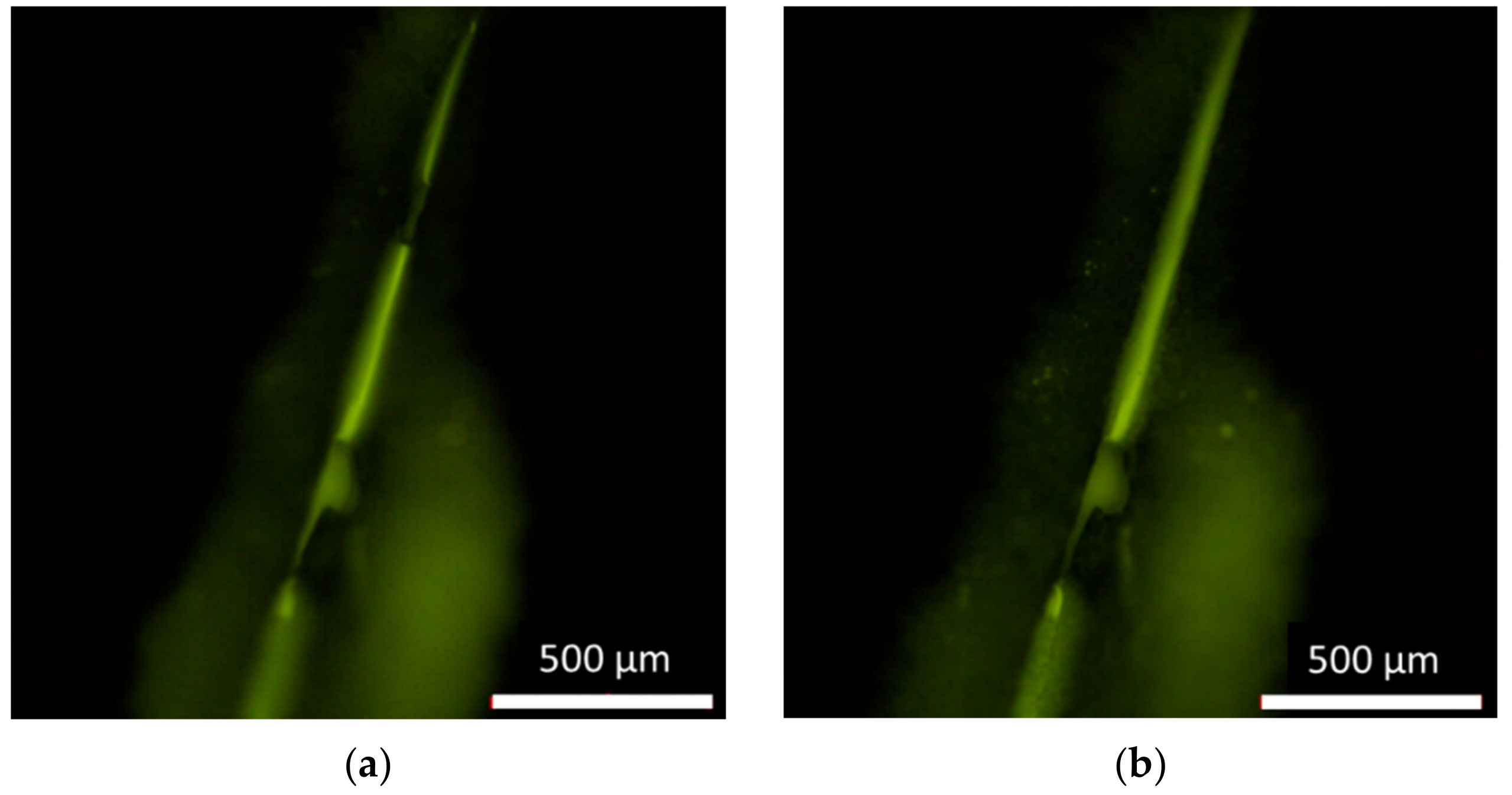 Materials 14 06198 g008