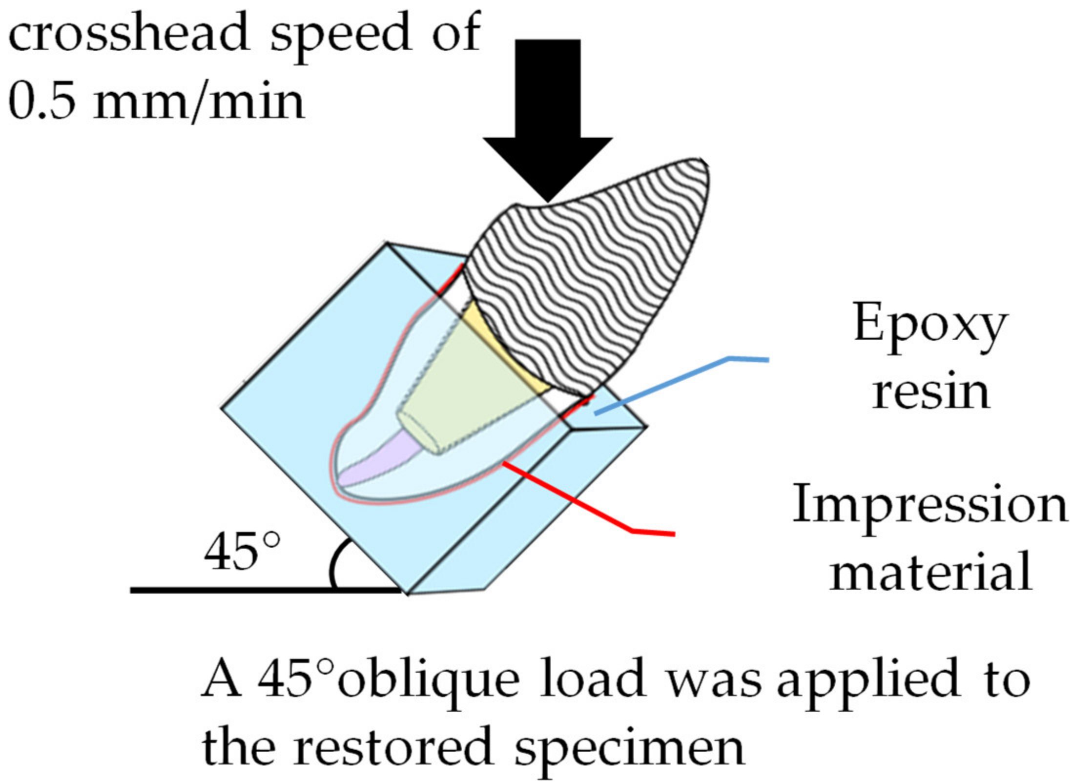 Materials 14 06199 g003