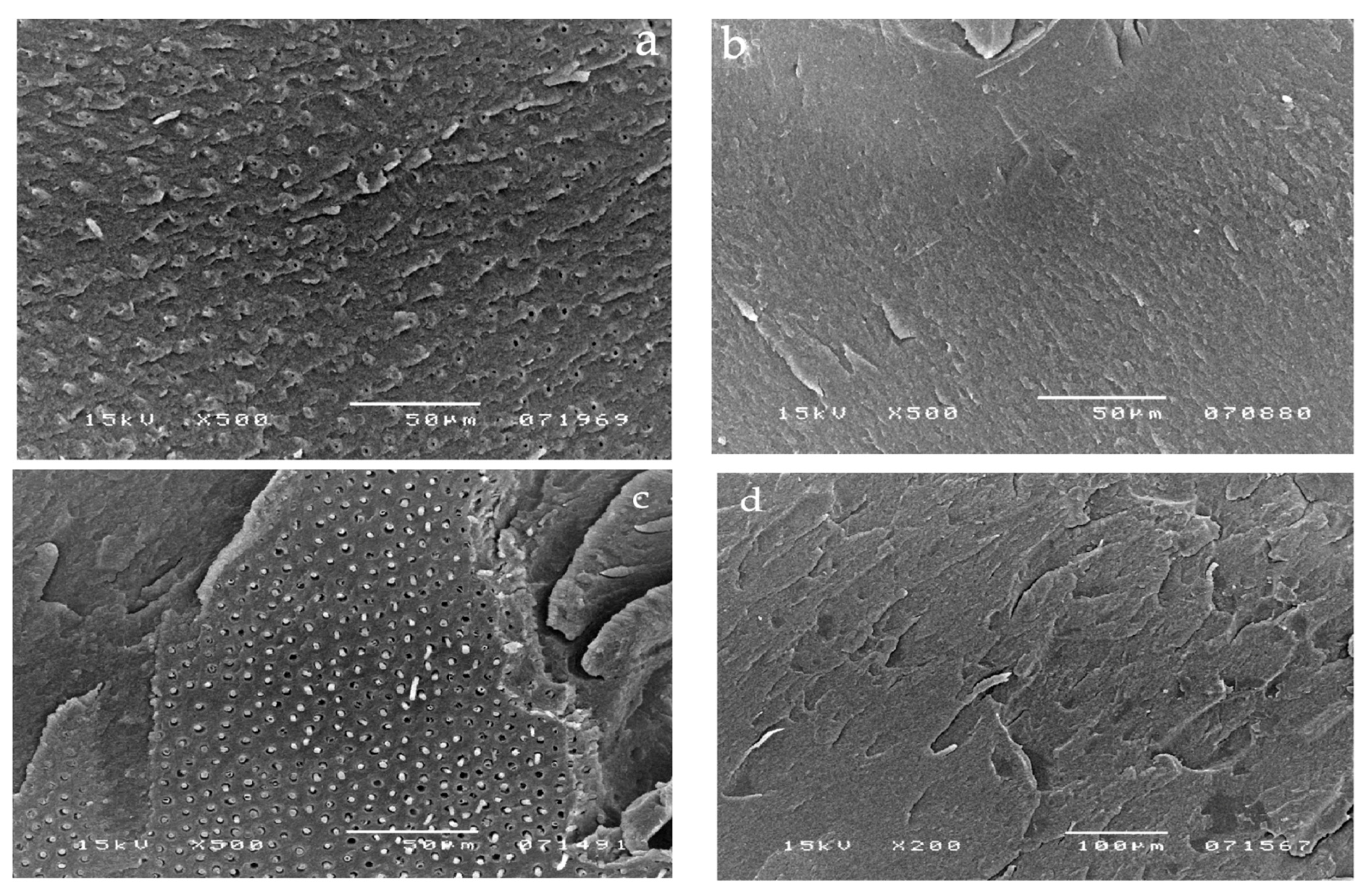 Materials 14 06200 g003 Materials 14 06200 g003