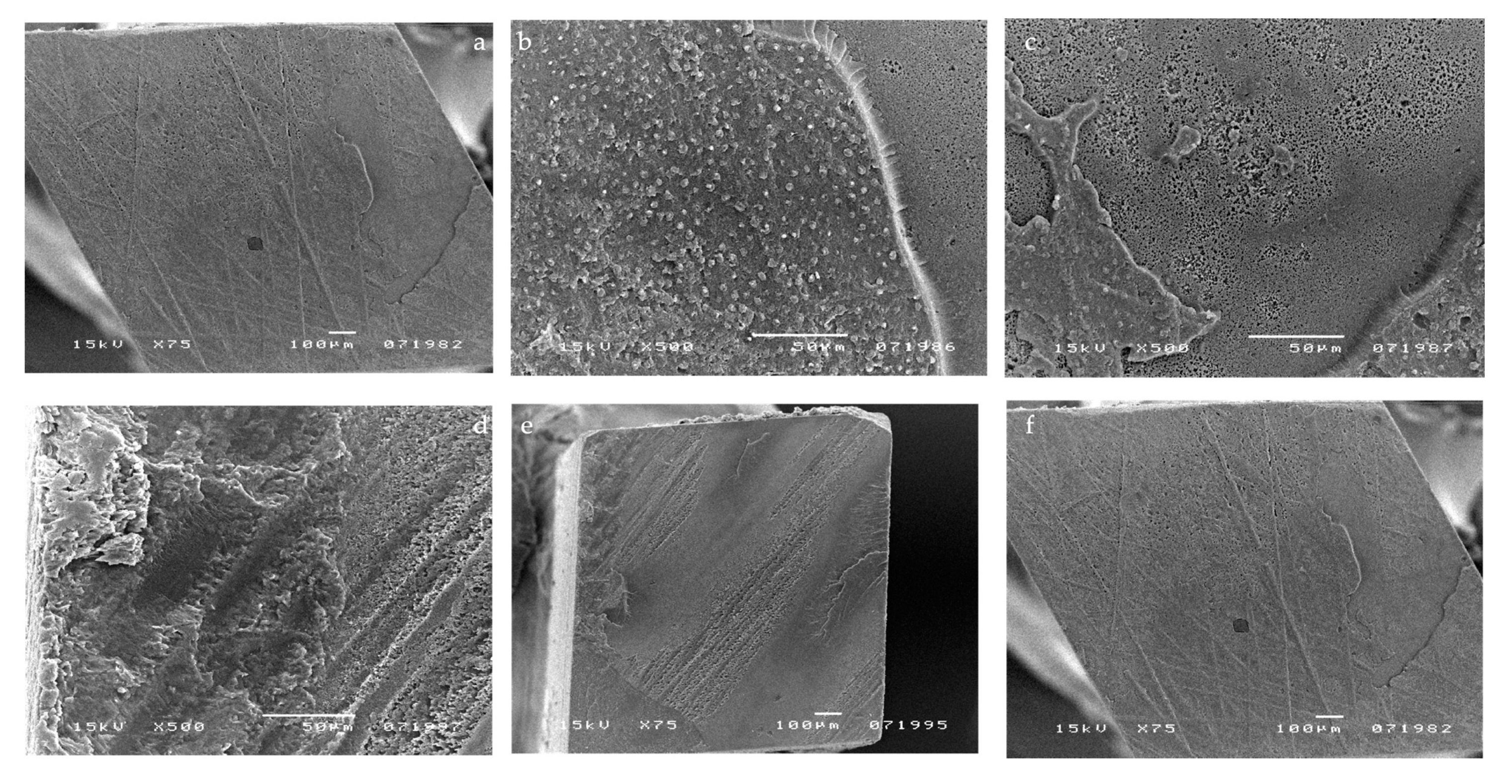 Materials 14 06200 g004 Materials 14 06200 g004