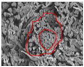 Materials 14 06205 i010