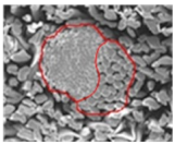 Materials 14 06205 i013