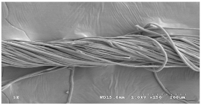 Materials 14 06205 i015