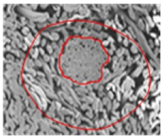 Materials 14 06205 i016