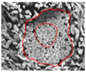 Materials 14 06205 i019