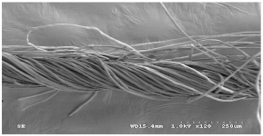 Materials 14 06205 i021