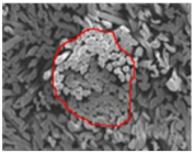 Materials 14 06205 i022