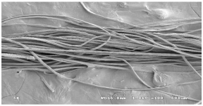 Materials 14 06205 i024