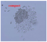 Materials 14 06205 i026