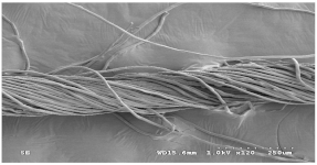 Materials 14 06205 i027