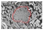 Materials 14 06205 i028