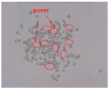 Materials 14 06205 i032