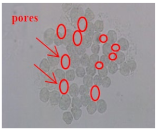 Materials 14 06205 i035