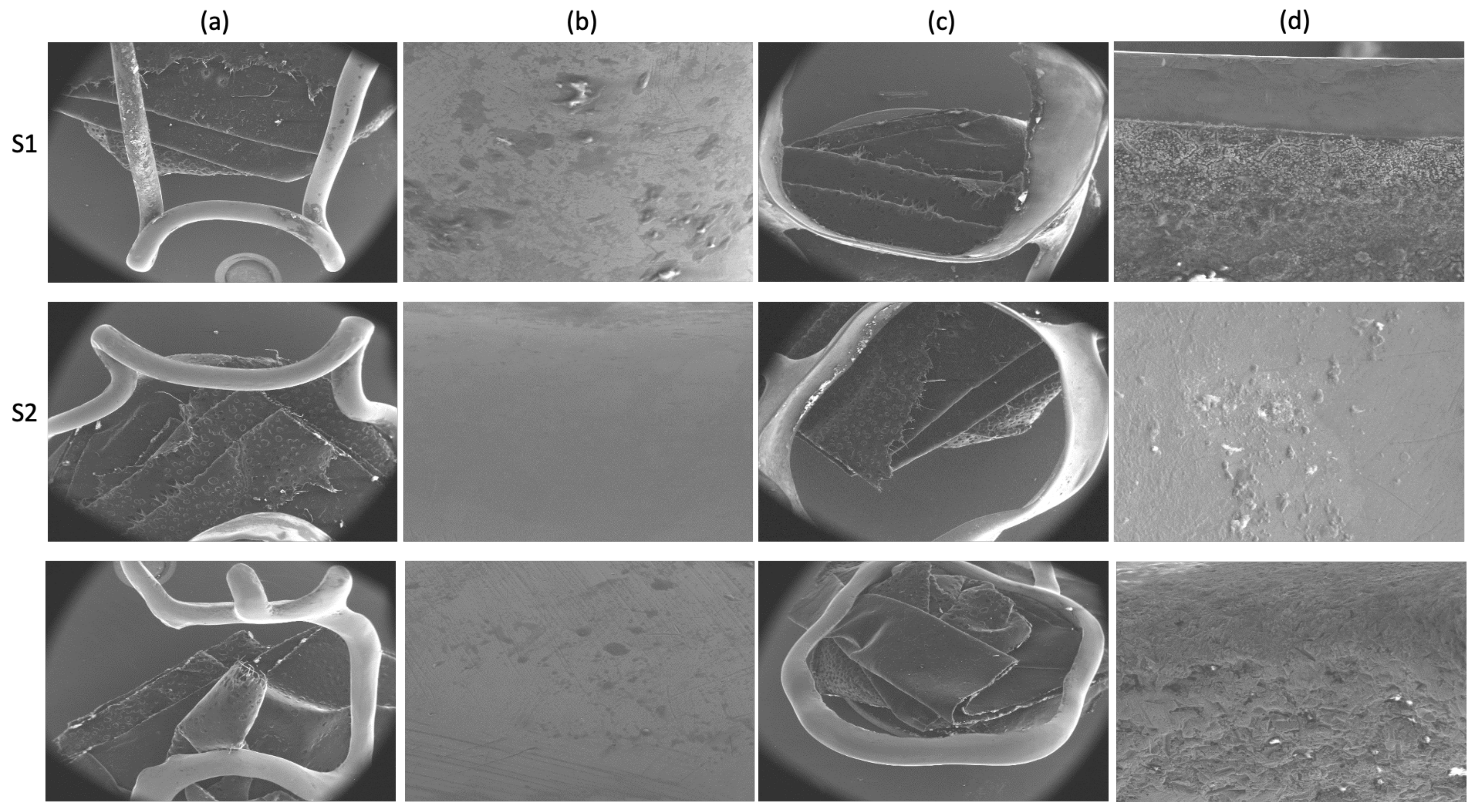 Materials 14 06215 g002